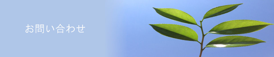 お問い合わせ